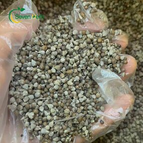Chasteberry Seeds Manufacturer - Vitex Agnus Castus Wholesale