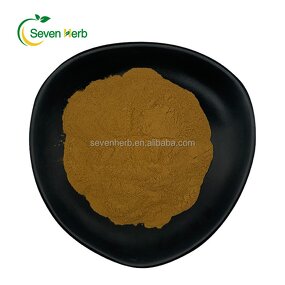 Chanterelle Extract Powder Manufacturer - Cantharellus Cibarius Mycelium