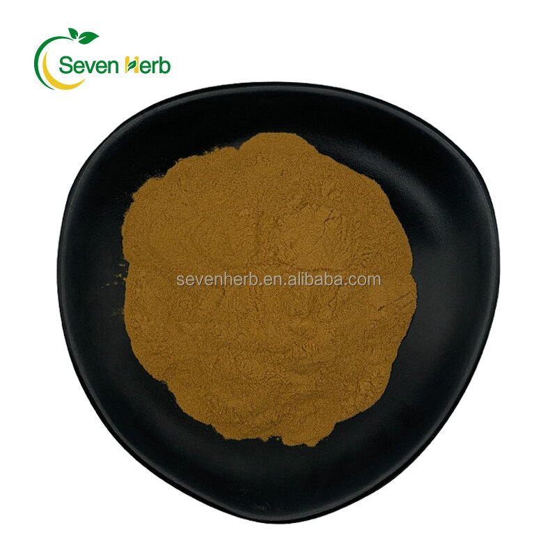 Chanterelle Extract Powder Manufacturer - Cantharellus Cibarius Mycelium