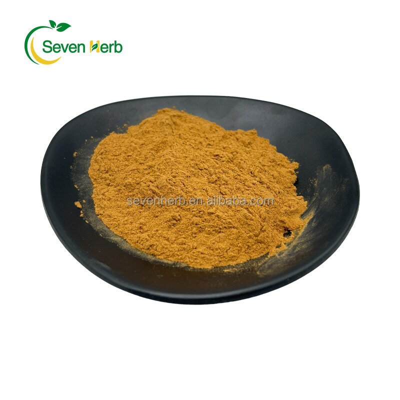 Golden Oyster Extract Powder Manufacturer - 1% Ergothioneine for Skin