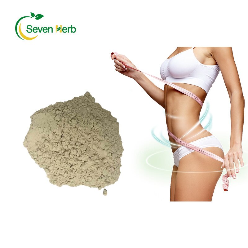 Psyllium Husk Powder Manufacturer - 99% Pure Fiber for Weight Loss