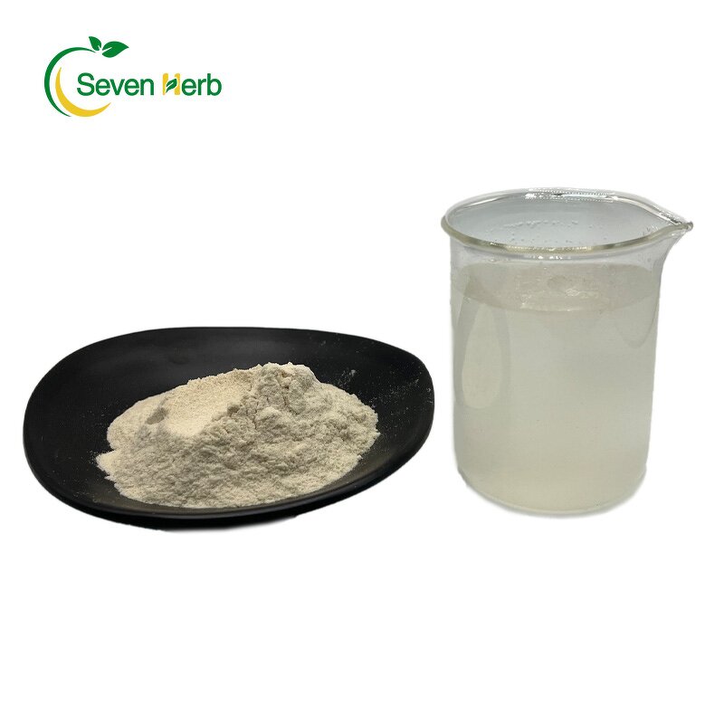 Psyllium Husk Powder Manufacturer - 99% Pure Fiber for Weight Loss