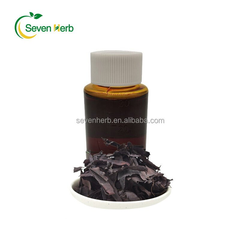 Gromwell Root Oil Manufacturer - Lithospermum Erythrorhizon Natural