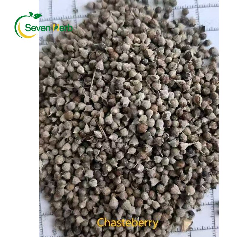 Chasteberry Seeds Manufacturer - Vitex Agnus Castus Wholesale