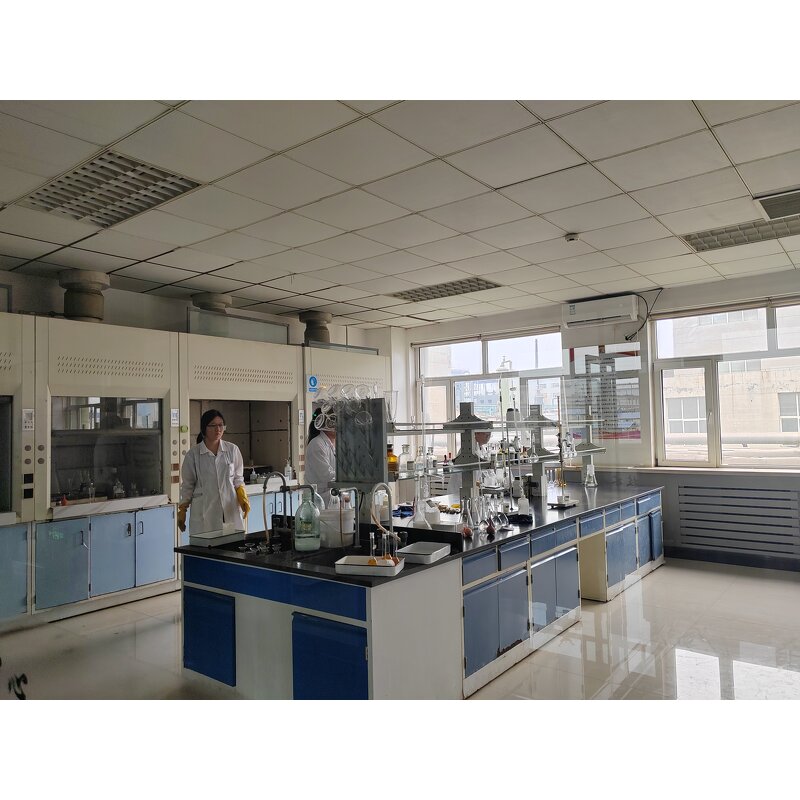 Choline Chloride - Manufacturer - 50/75/98% CAS 67-48-1 C5H14ClNO Bulk Supply