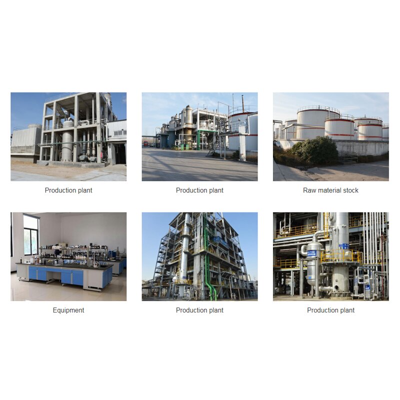 Benzyl Salicylate - Factory - CAS 118-58-1 Cosmetic Fragrance Raw Material