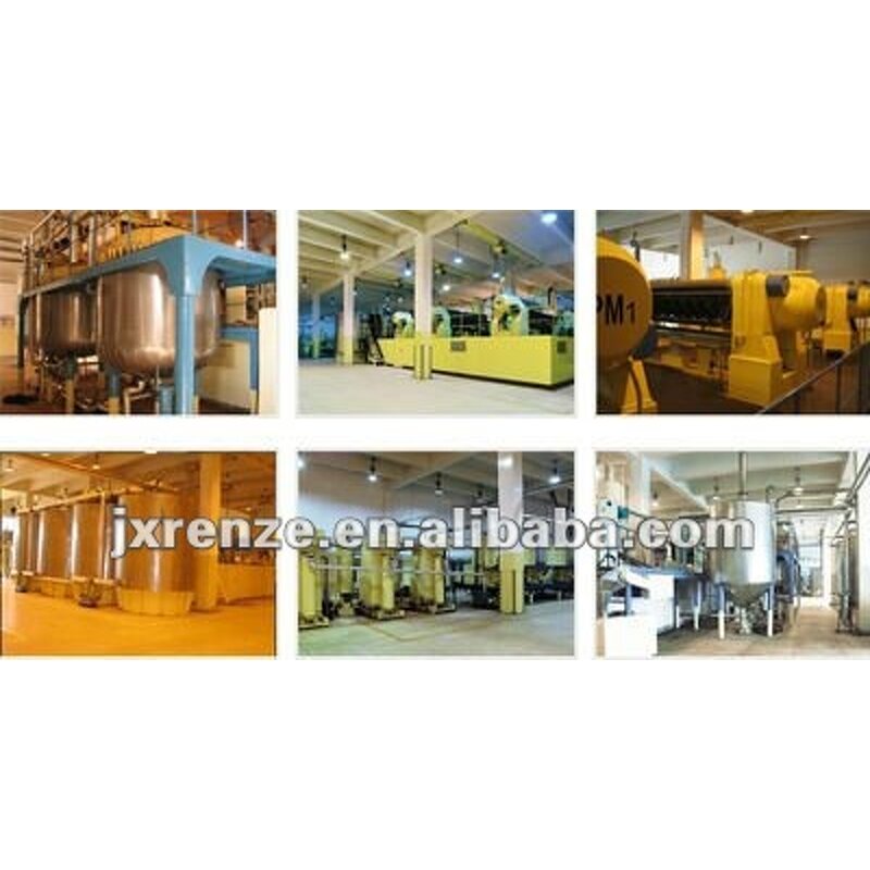 Mint Crystals Manufacturer - Menthol Food Additives for Flavor