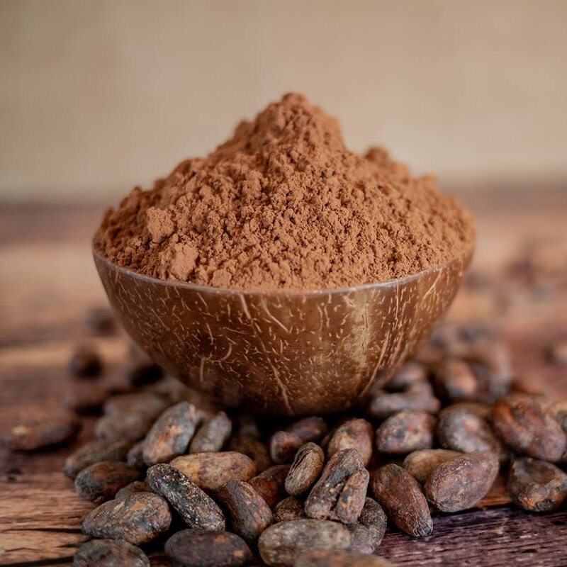 Cocoa Shell Powder Manufacturer - Dutch Processed 20-22%