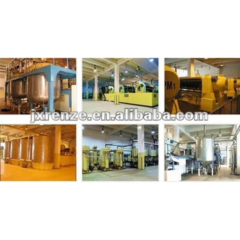 Potato Flakes Manufacturer - Premium Dehydrated Food Enhancer