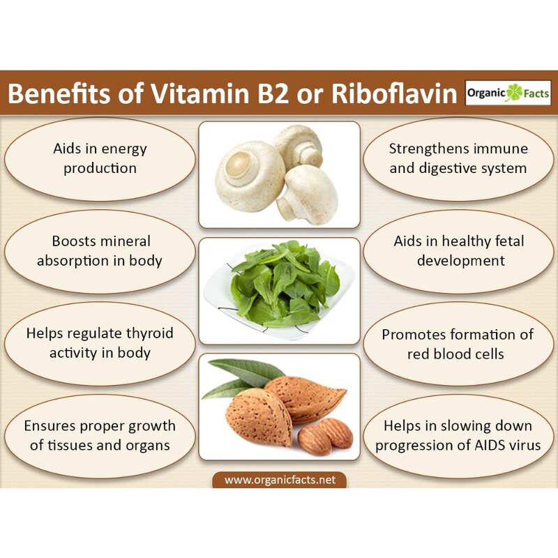 Riboflavin Powder Manufacturer - Vitamin B2 Food Grade