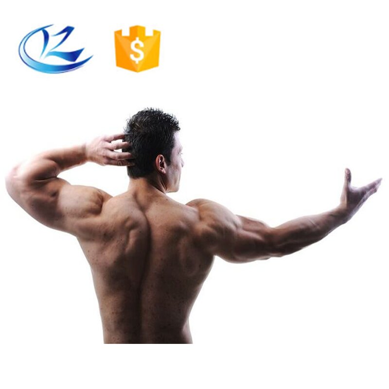 BCAA Powder Manufacturer - Branched Chain Amino Acids in Drum