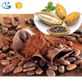 Cocoa Powder Manufacturer - Dark Alkalized Natural