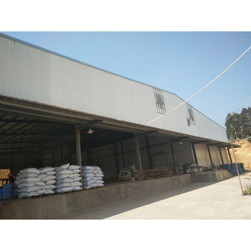 Macadamia Nuts Manufacturer - Shelled Hawaii New Crop