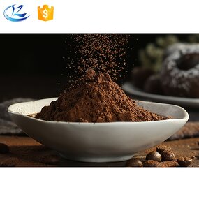 Cocoa Powder Manufacturer - Dutch Process Alkalized S9