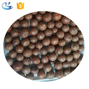 Macadamia Nuts Manufacturer - Shelled Hawaii New Crop