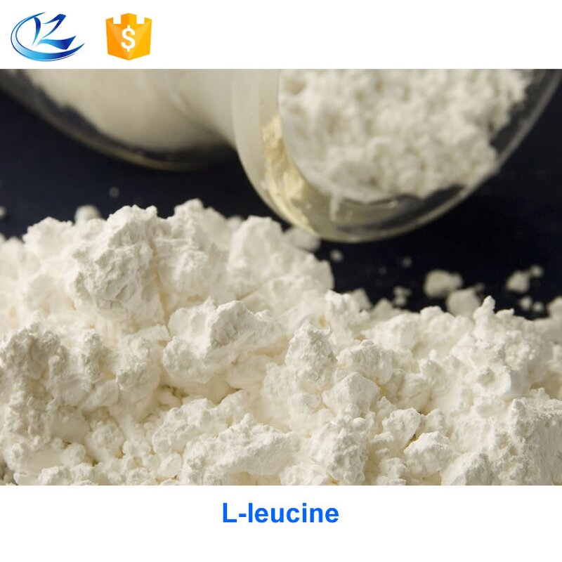 BCAA Powder Manufacturer - Branched Chain Amino Acids in Drum