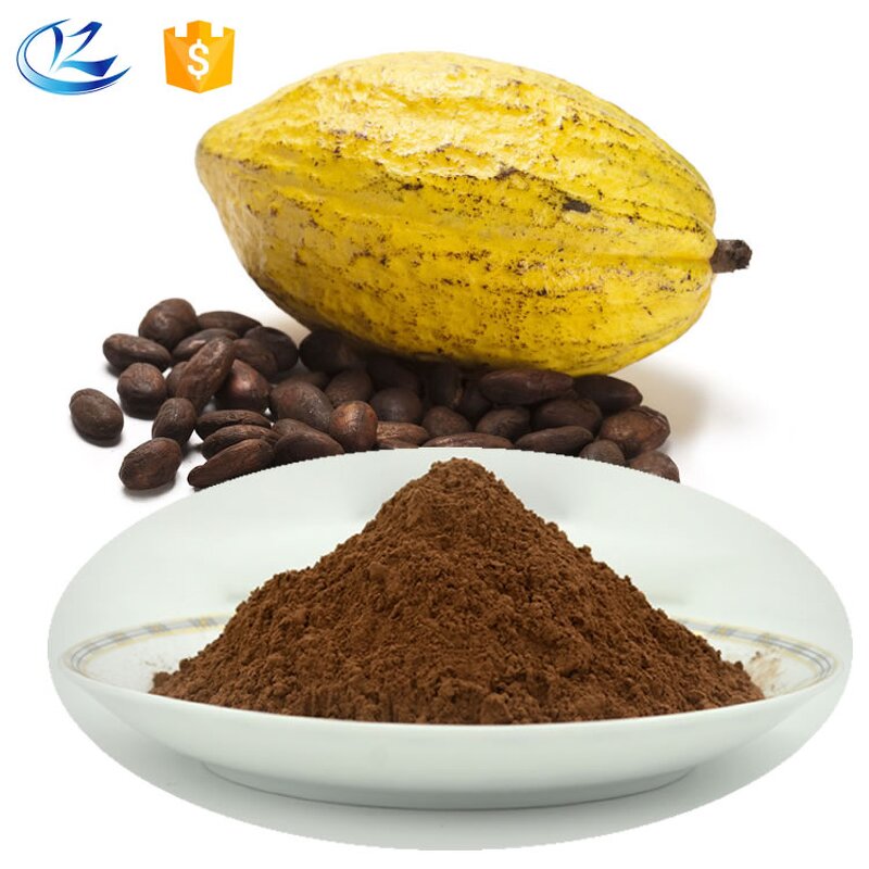 Cocoa Powder Manufacturer - Pure Dutch Process Alkalized