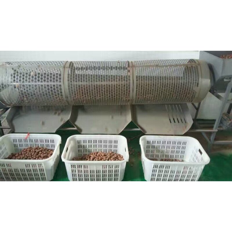 Macadamia Nuts Manufacturer - Shelled Hawaii New Crop