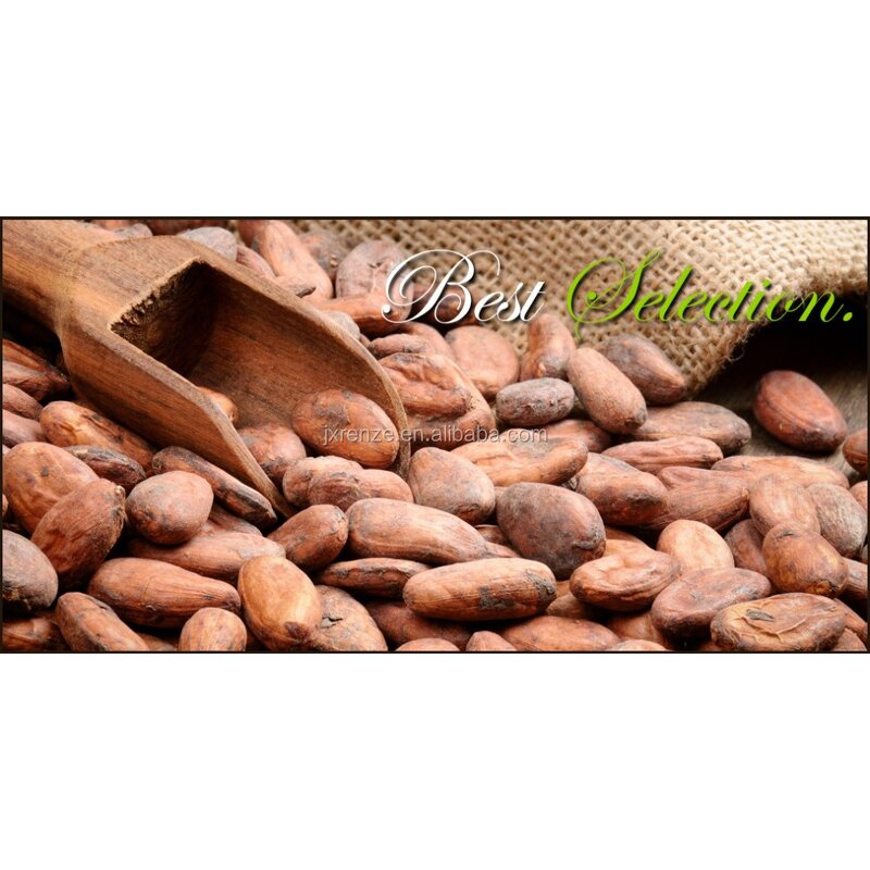 Cocoa Powder Manufacturer - Natural Unsweetened for Dark Chocolate