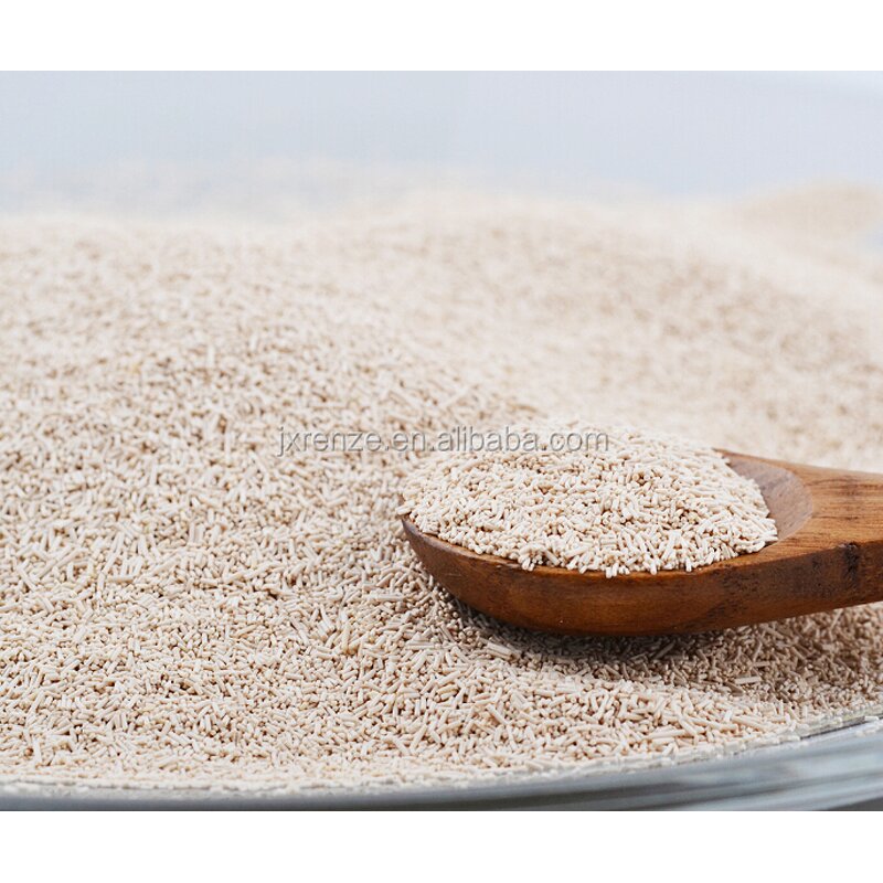 Dry Yeast Manufacturer - Low Sugar Instant Active