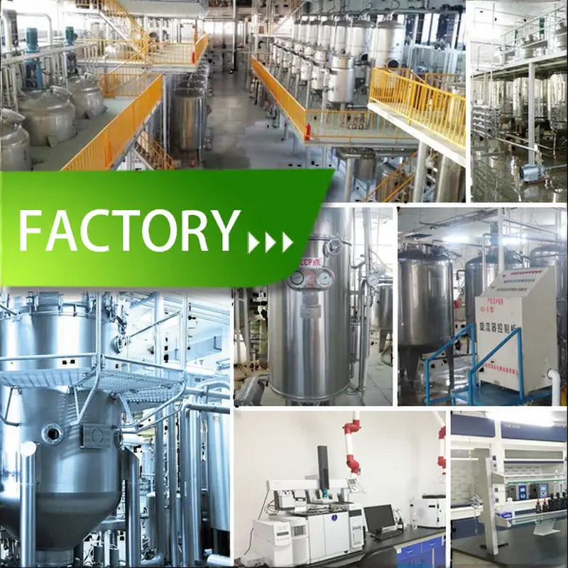 Mint Crystals Manufacturer - Menthol Food Additives for Flavor