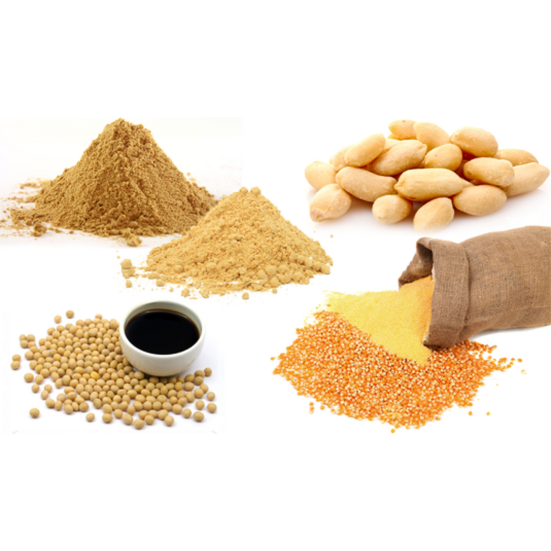 Vegetable Protein Powder Manufacturer - Hydrolyzed HVP Food Additive