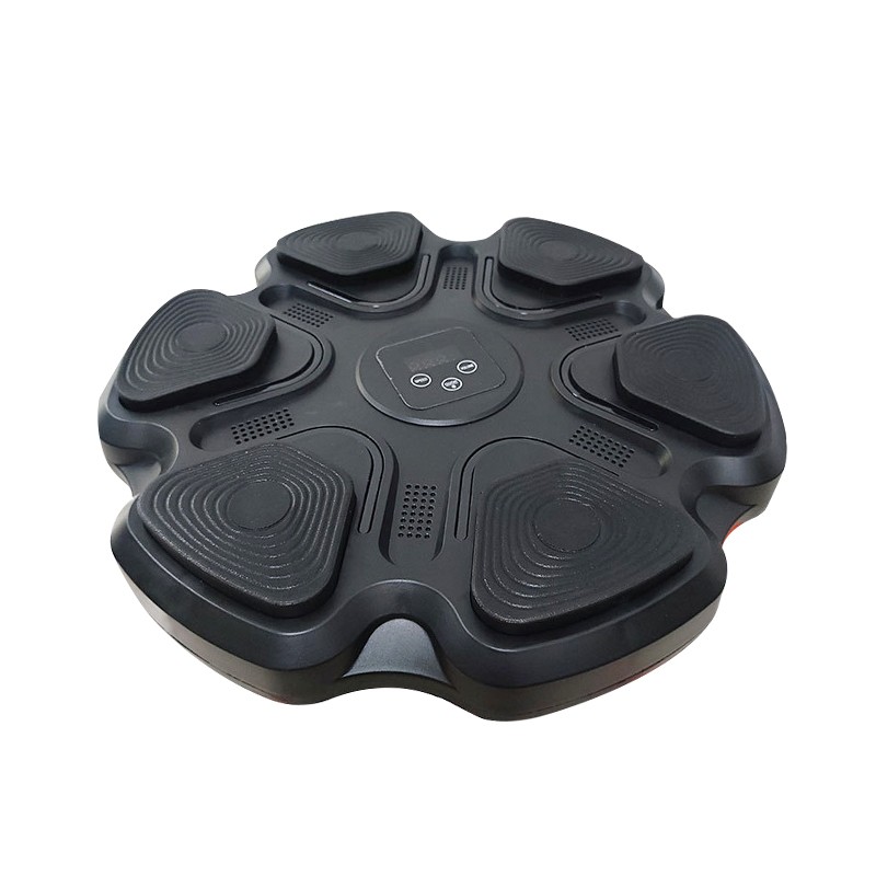 Boxing Training Equipment Factory - Upgraded Speed Adjustment Reaction