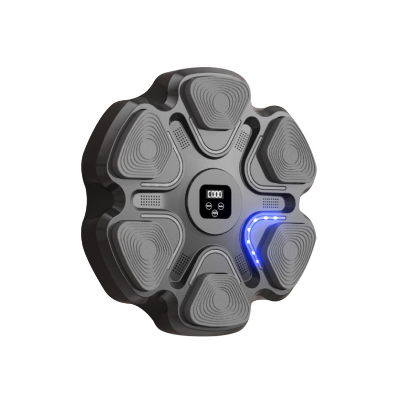 Boxing Training Equipment Factory - Upgraded Speed Adjustment Reaction