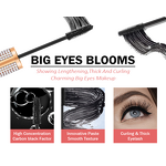 Eyes& Eyebrow Cosmetics