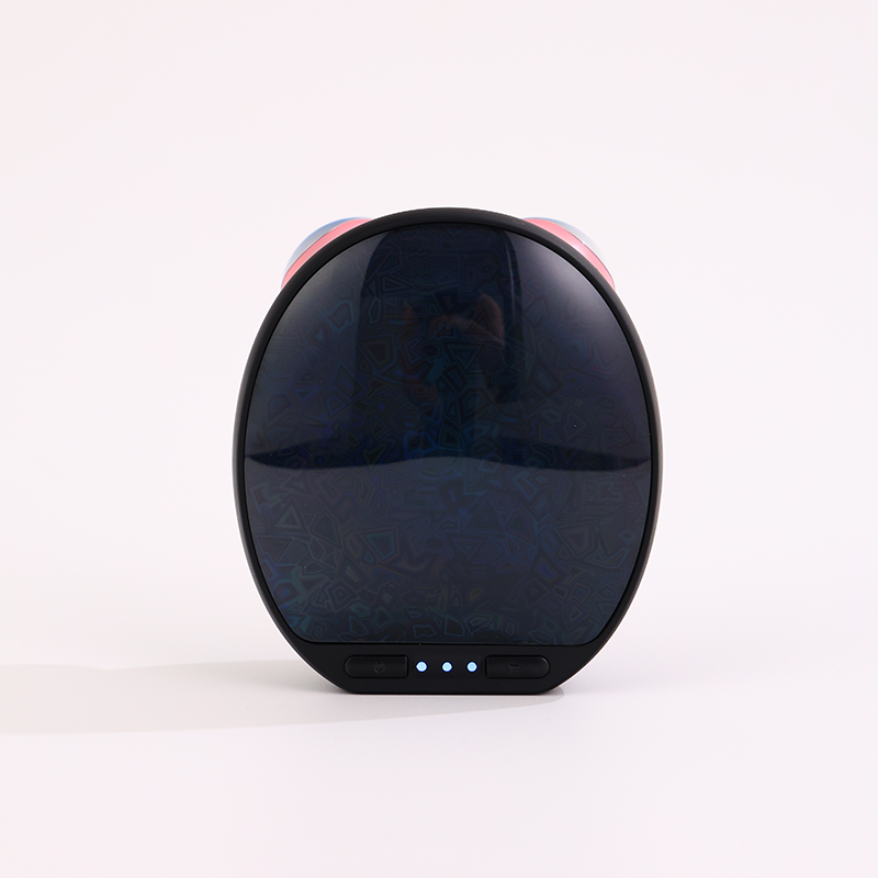 Face Massager Supplier - Multifunction Light Therapy Roller