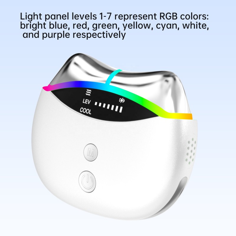 Microneedle Pen Factory - LED Light Therapy Derma Pen