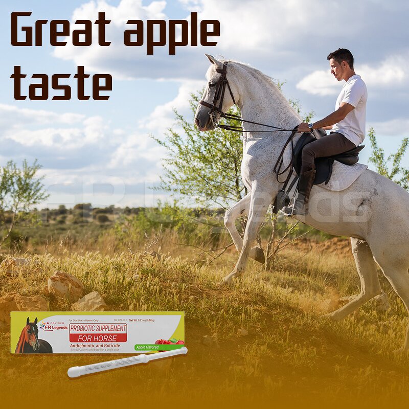 Horse Probiotic Gel Manufacturer - Custom Wholesale Support Immune Herbal Extract Supplements Apple Flavor