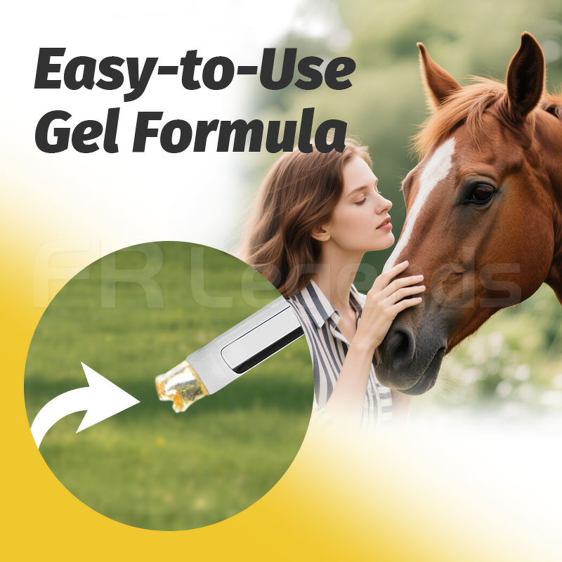 Horse Anthelmintic Paste Manufacturer - OEM ODM 1.87% Apple Flavored for Equine Worms Single Dose Probiotic