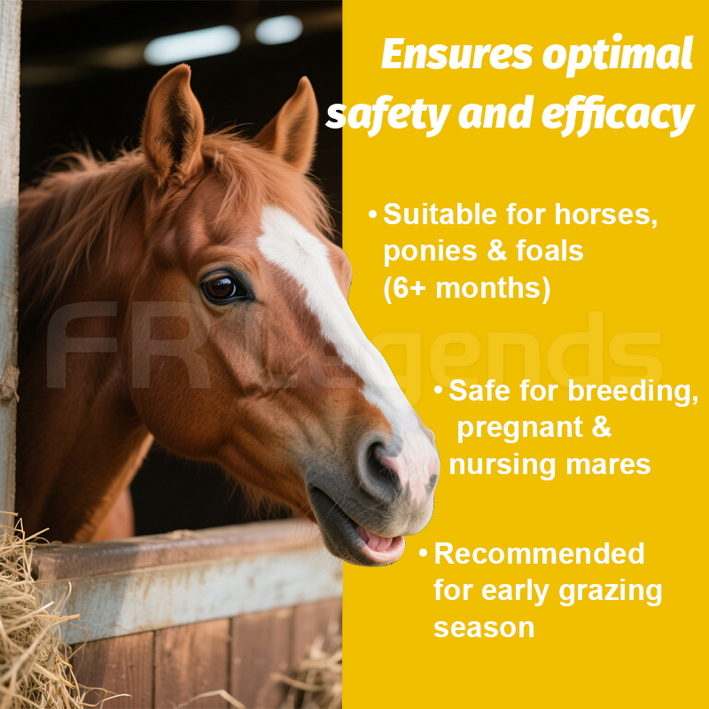 Equine Deworming Paste Manufacturer - Maunfacturer 1.87% Fast for Adult Foals Year Round Parasite Control