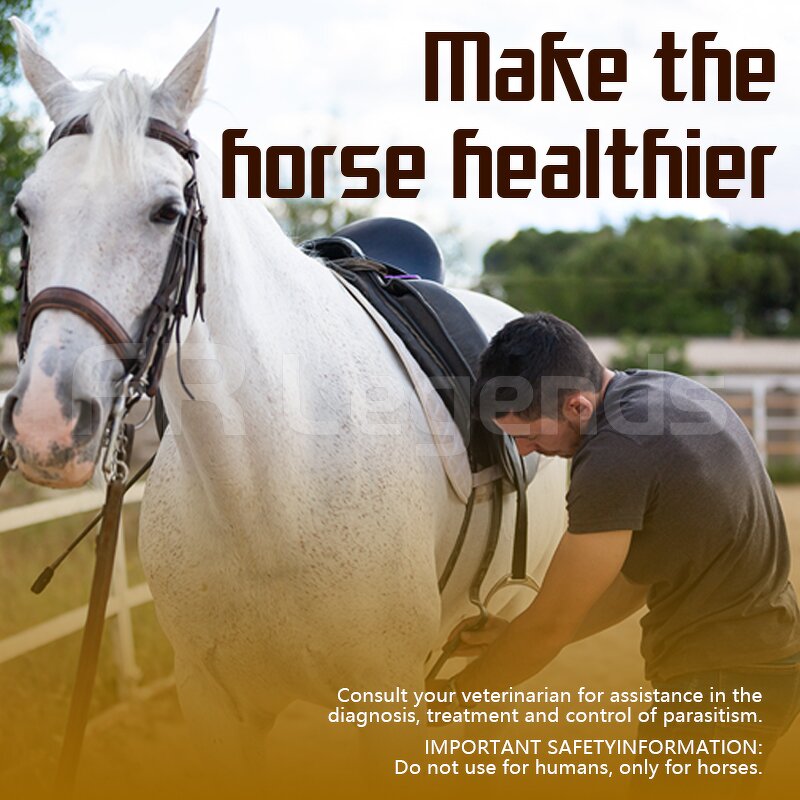 Horse Probiotic Gel Manufacturer - Custom Wholesale Support Immune Herbal Extract Supplements Apple Flavor