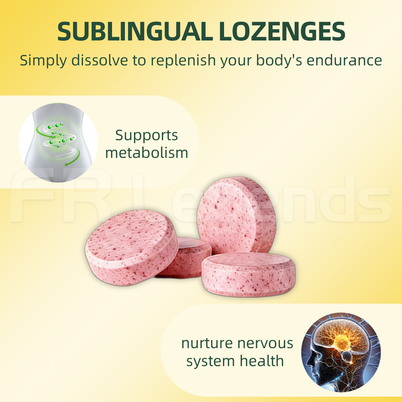 Vitamin B12 Supplement Manufacturer - OEM ODM Metabolism Boost Support Energy Natural Multivitamin