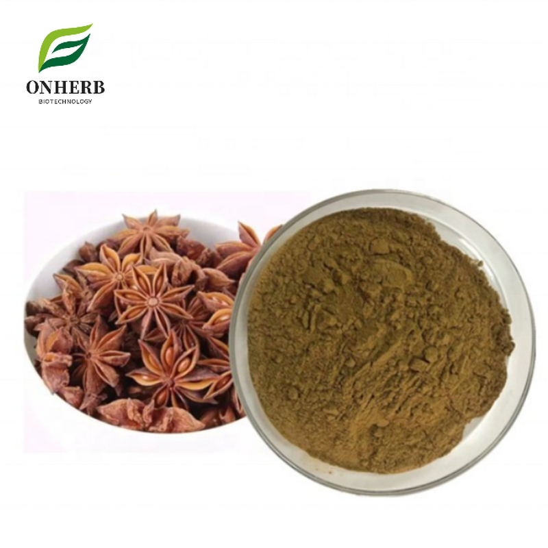 Star Anise Extract Powder Manufacturer - 99% Illicium Verum Hook.f.