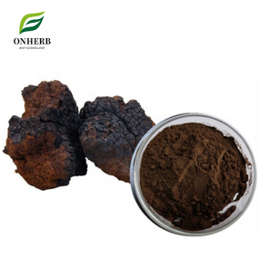 Chaga Mushroom Extract Powder Manufacturer - 30% Polysaccharide