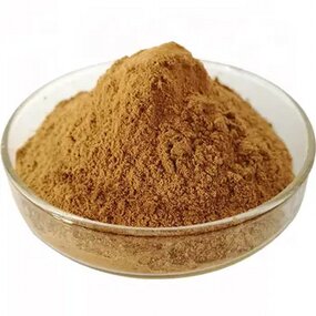 Mimosa Root Extract Powder Manufacturer - 10:1 Mimosa Bark