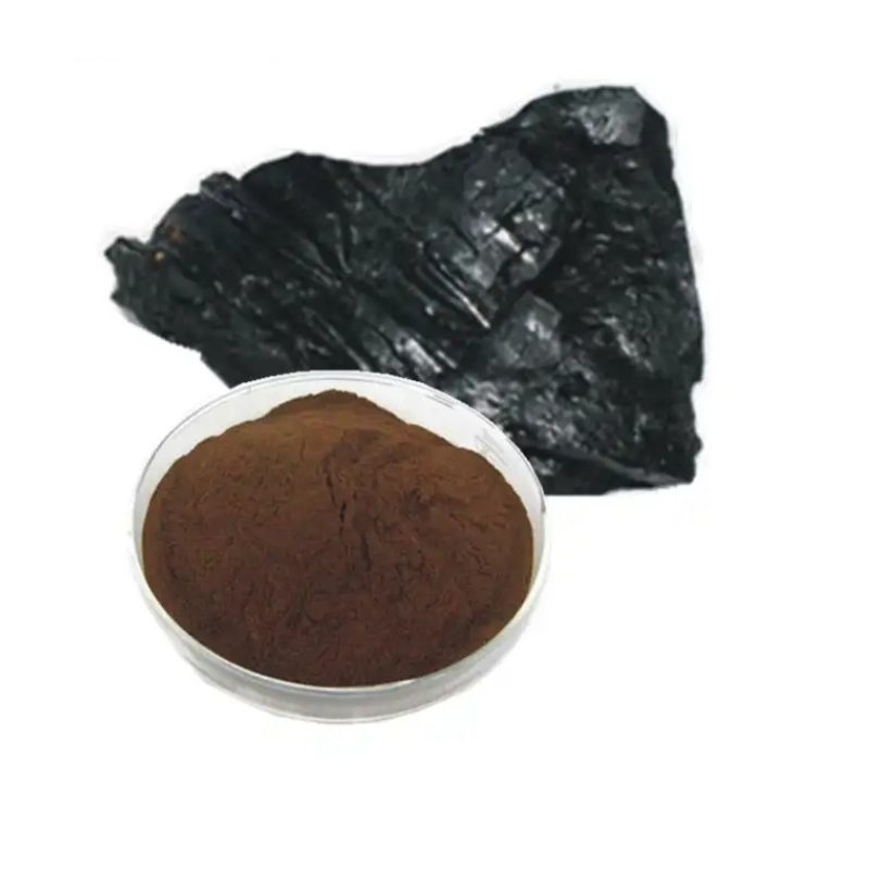 Shilajit Resin Manufacturer - Fulvic Acid Supplement Bulk