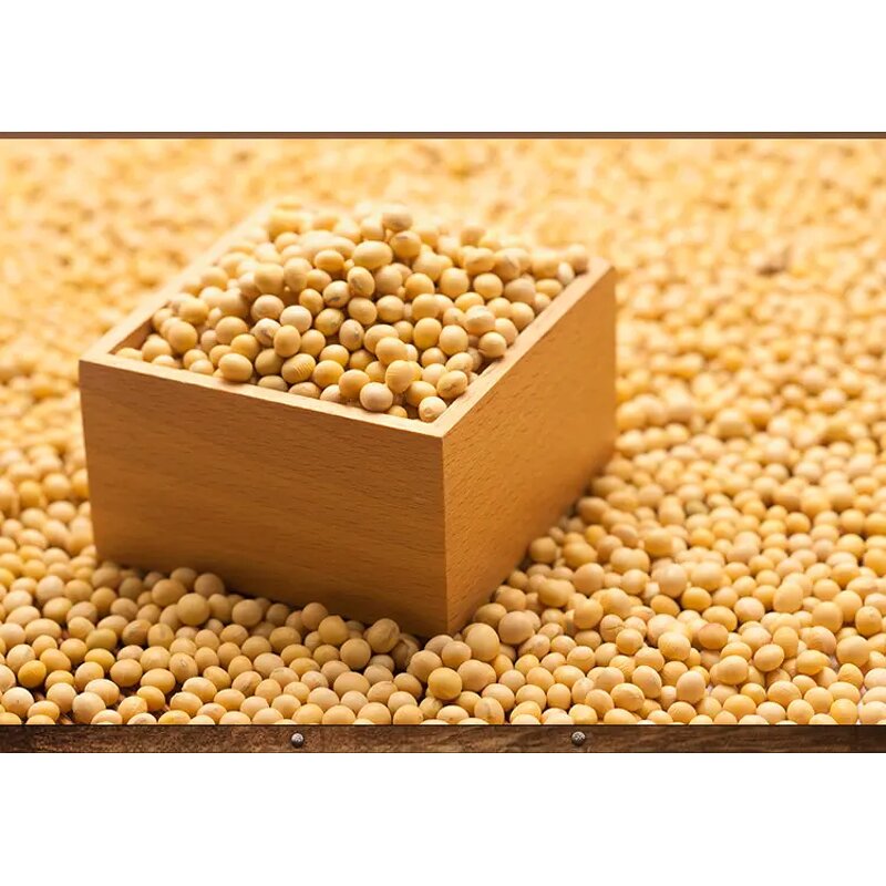 Natto Extract Powder Manufacturer - Nattokinase Enzymes Fermented