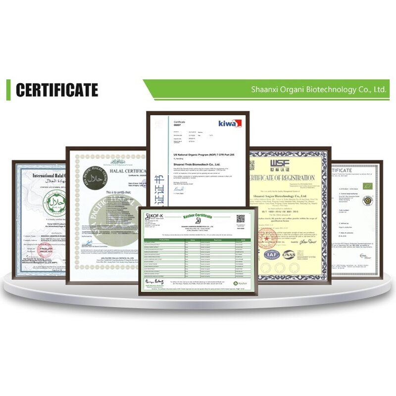 Quinoa Extract Powder Manufacturer - 99% Peptides Food Grade