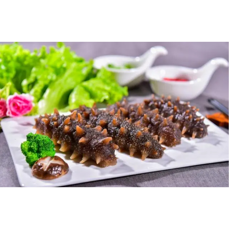 Dry Sea Cucumber Manufacturer