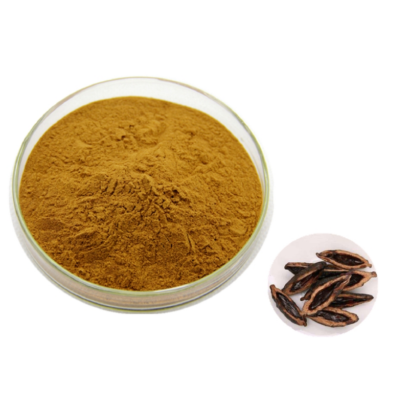 Areca Nut Extract Powder Manufacturer