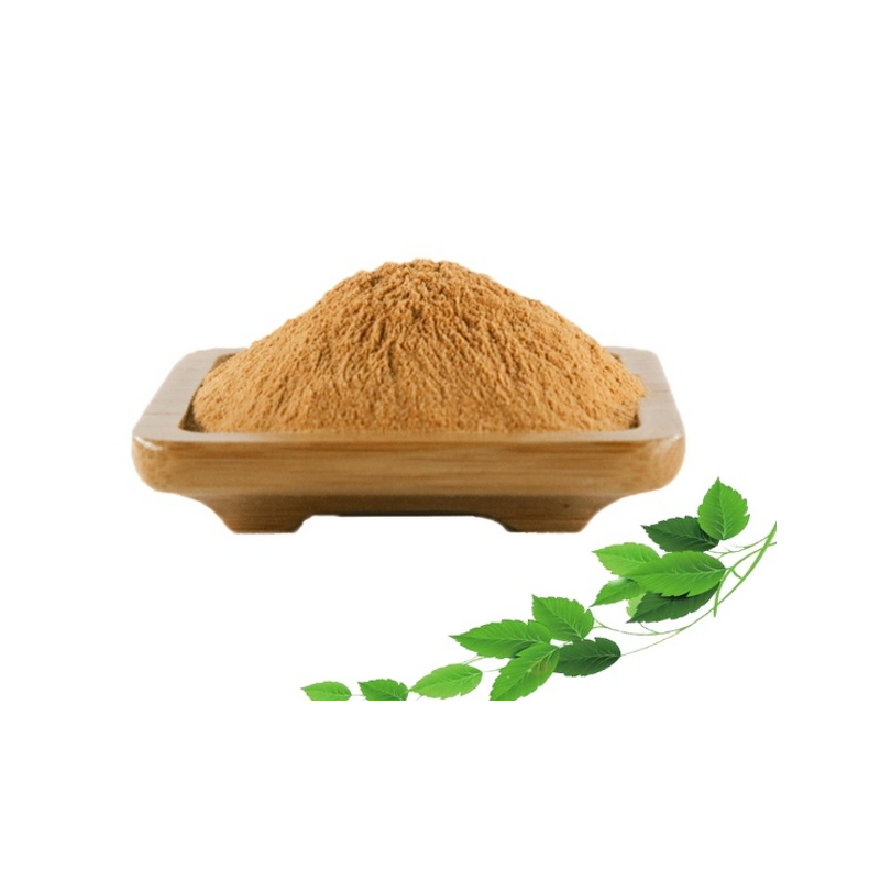 Dry Sea Cucumber Manufacturer