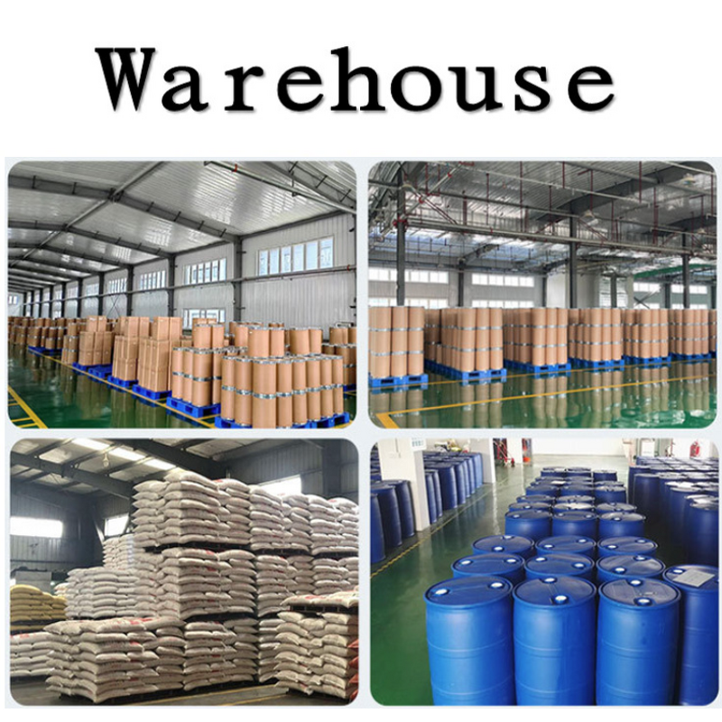 Soapberry Extract Powder Manufacturer - 80% Saponins Seed Extract