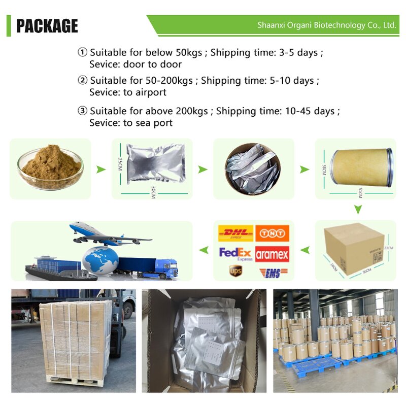 Fennel Seed Oil Manufacturer - 100% Natural Fluid Extract