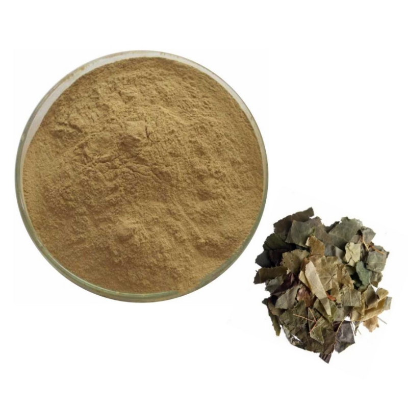 Epimedium Extract Powder Manufacturer - 1%-98% Icaritin