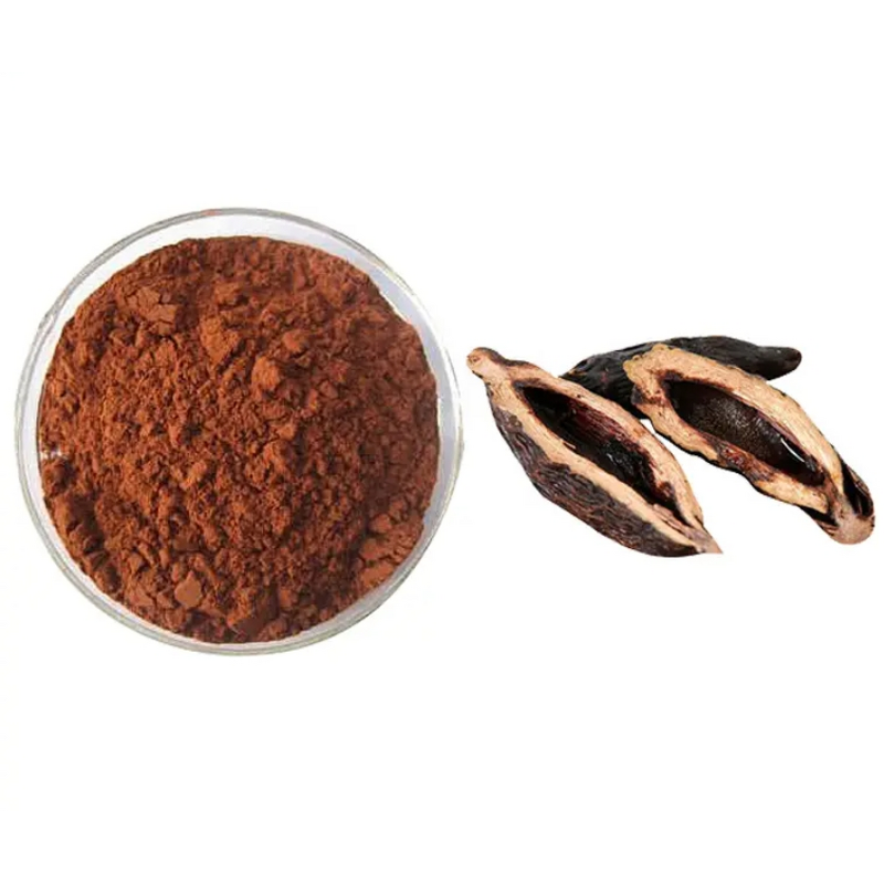 Areca Nut Extract Powder Manufacturer