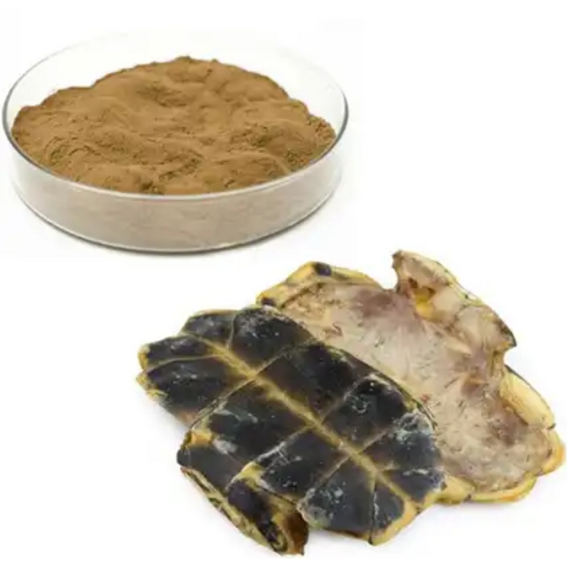Turtle Shell Powder Manufacturer - 100% Pure Animal Extract 10:1